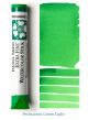 Aquarela Daniel Smith Stick - Cor Permanent Green Light - 046