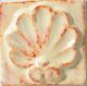 Esmalte de Efeito para Ceramica Gare 473ml Cor White Birch - NTG-9529