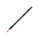 Lapis Carvao Colorido Derwent Charcoal TC14 - Forest Pine