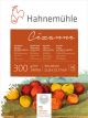 Bloco Aquarela Hahnemuhle Cezanne 300g/m² 30X40 Textura Rugosa