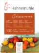 Bloco Aquarela Hahnemuhle Cezanne 300g/m² 24x32 Textura Satinada