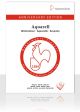 Bloco Aquarela Hahnemuhle Anniversary 425g/m² 24X32 Textura Fina 50 Folhas