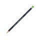 Lapis de Cor Permanente Derwent Procolour 49 - Grass Green