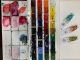 Aquarelas (tubos e pastilhas) indicadas  por Ivani Ranieri